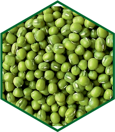 MOONG