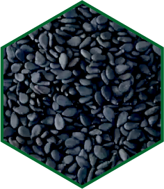 URAD