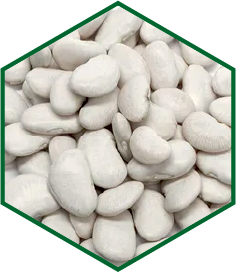 INDIAN BEAN