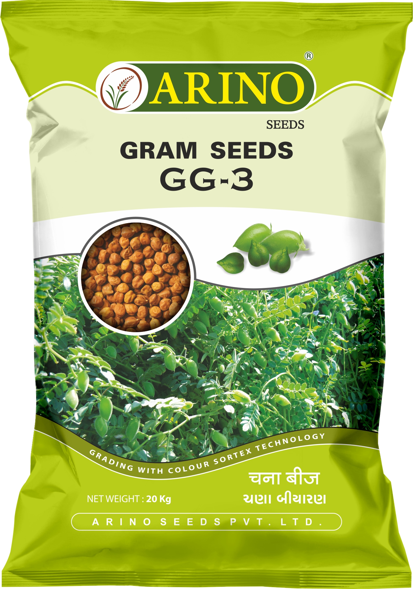CHANA GG3
